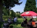 20150822165617-c9ba8a54.jpg